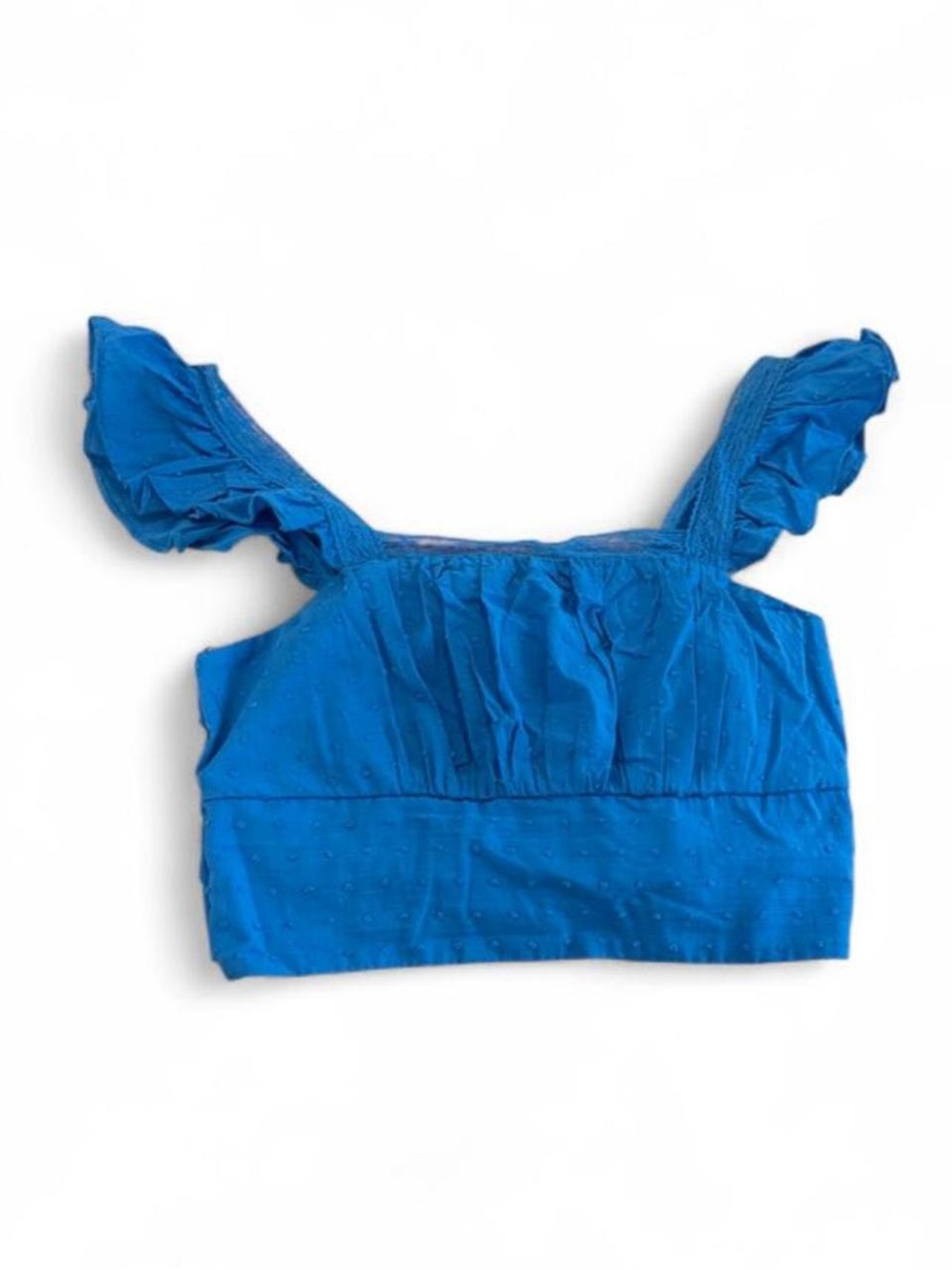 Mi Ami Francesca’s Blue Swiss Dot Ruffle Crop Top